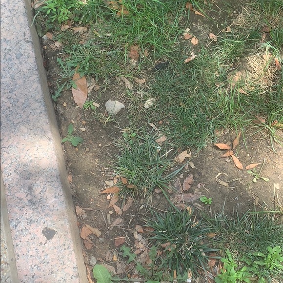 Meet your Posher, George - Picture 1 of 1